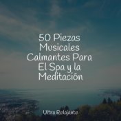 50 Piezas Musicales Calmantes Para El Spa y la Meditación