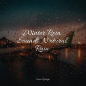 Winter Rain Sounds: Natural Rain