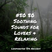 #50 50 Soothing Sounds for Lovers & Relaxing