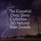 The Essential Deep Sleep Collection - 50 Natural Rain Sounds