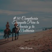 #50 Compilación Tranquila Para la Atención y la Meditación