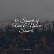 50 Sounds of Rain & Nature Sounds