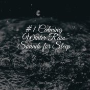 #1 Calming Winter Rain Sounds for Sleep