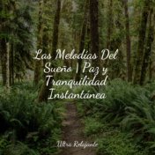 Las Melodías Del Sueño | Paz y Tranquilidad Instantánea