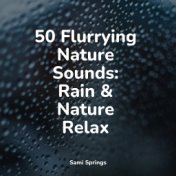 50 Flurrying Nature Sounds: Rain & Nature Relax
