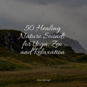 50 Healing Nature Sounds for Yoga, Zen and Relaxation