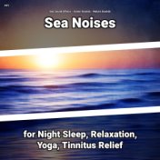 #01 Sea Noises for Night Sleep, Relaxation, Yoga, Tinnitus Relief