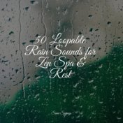 50 Loopable Rain Sounds for Zen Spa & Rest