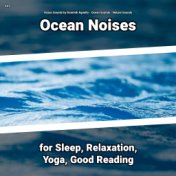 #01 Ocean Noises for Sleep, Relaxation, Yoga, Good Reading