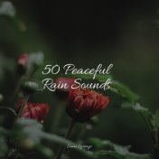 50 Peaceful Rain Sounds