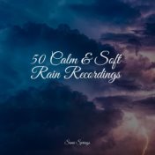 50 Calm & Soft Rain Recordings