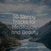 50 Sleepy Tracks for Meditation and Beauty
