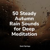 50 Steady Autumn Rain Sounds for Deep Meditation