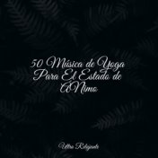 50 Música de Yoga Para El Estado de ÁNimo