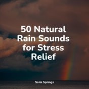 50 Natural Rain Sounds for Stress Relief
