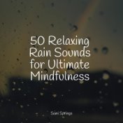 50 Meditation Rain Sounds