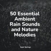 50 Essential Ambient Rain Sounds and Nature Melodies