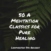 50 A Meditation Classics for Pure Healing