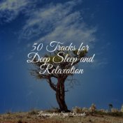 50 Tracks for Deep Sleep and Relaxation