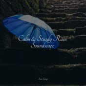 Calm & Steady Rain Soundscape