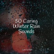 50 Caring Winter Rain Sounds