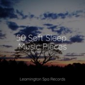 50 Soft Sleep Music Pieces