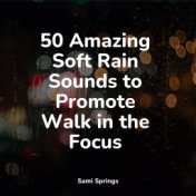 50 Amazing Soft Rain Sounds to Promote Walk in the Focus