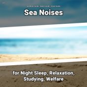 #01 Sea Noises for Night Sleep, Relaxation, Studying, Welfare