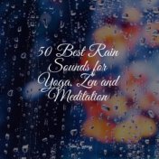 50 Sounds of Rain for Sleep and Relaxation