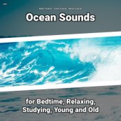 #01 Ocean Sounds for Bedtime, Relaxing, Studying, Young and Old