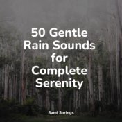50 Gentle Rain Sounds for Complete Serenity