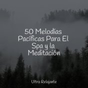 50 Melodías Pacíficas Para El Spa y la Meditación
