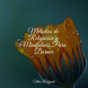 Melodías de Relajación y Mindfulness Para Dormir