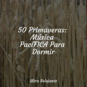 50 Primaveras: Música PacíFICA Para Dormir