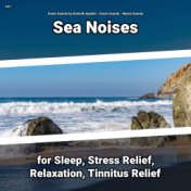 #01 Sea Noises for Sleep, Stress Relief, Relaxation, Tinnitus Relief