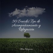 50 Sonidos Zen de Acompañamiento y Relajación