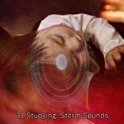 31 Studying Storm Sounds