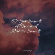 50 Spa Sounds of Rain and Nature Sounds