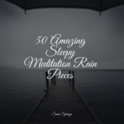 50 Amazing Sleepy Meditation Rain Pieces