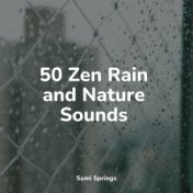 50 Zen Rain and Nature Sounds