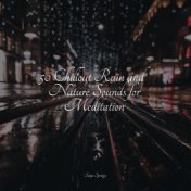 50 Chillout Rain and Nature Sounds for Meditation