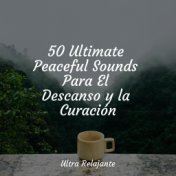 50 Ultimate Peaceful Sounds Para El Descanso y la Curación