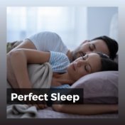 Perfect Sleep