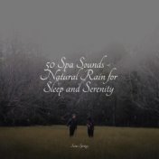 50 Spa Sounds - Natural Rain for Sleep and Serenity