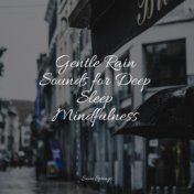 Gentle Rain Sounds for Deep Sleep Mindfulness