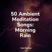 50 Winter Rain Sounds for Sleep and Serenity