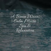 A Brain Waves | Calm Music | Spa & Relaxation