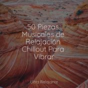 50 Piezas Musicales de Relajación Chillout Para Vibrar