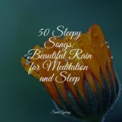 50 Sleepy Songs: Beautiful Rain for Meditation and Sleep