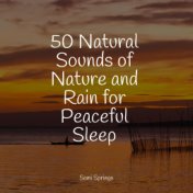 50 Natural Sounds of Nature and Rain for Peaceful Sleep